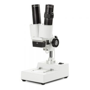 Microscopio stereo Plant